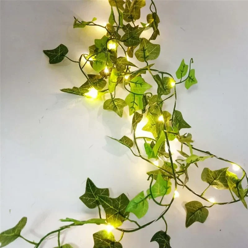 Dimera™ Vine Fairy Lights