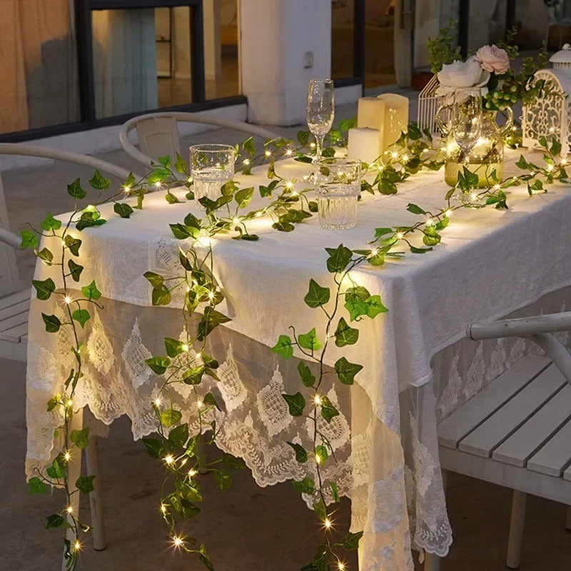Dimera™ Vine Fairy Lights