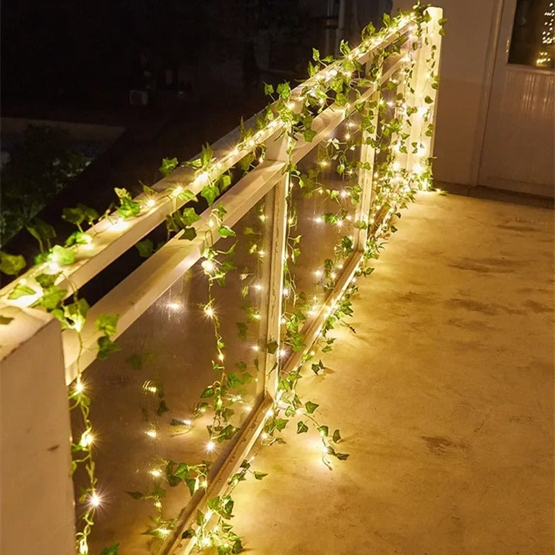 Dimera™ Vine Fairy Lights