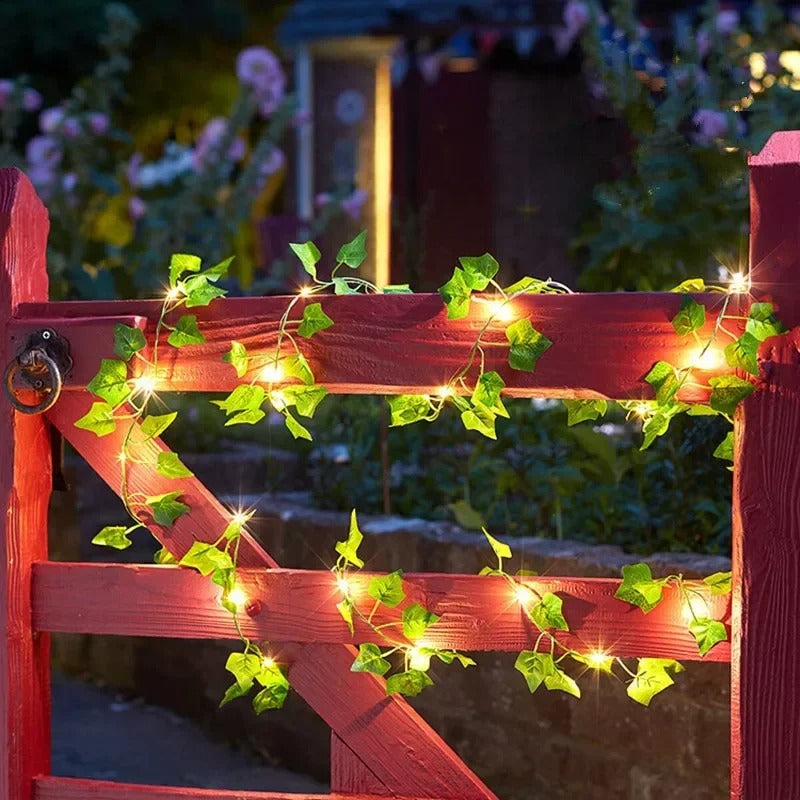 Dimera™ Vine Fairy Lights