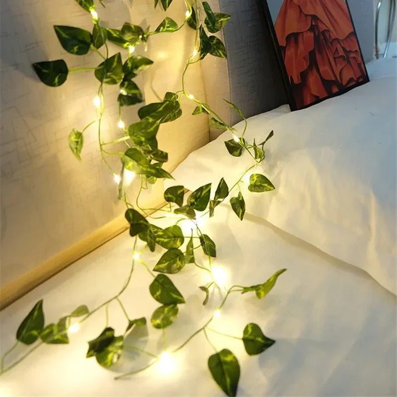 Dimera™ Vine Fairy Lights