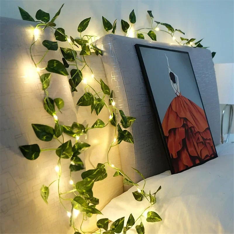 Dimera™ Vine Fairy Lights