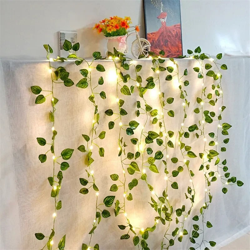 Dimera™ Vine Fairy Lights