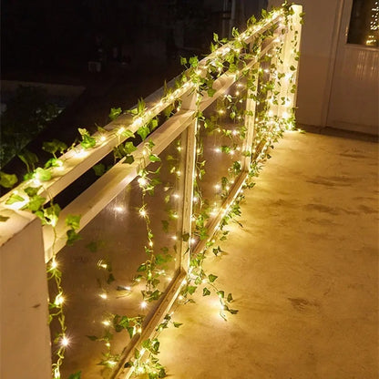 Dimera™ Vine Fairy Lights